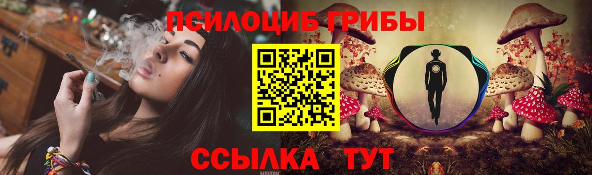 Псилоцибиновые грибы прущие грибы Шарыпово