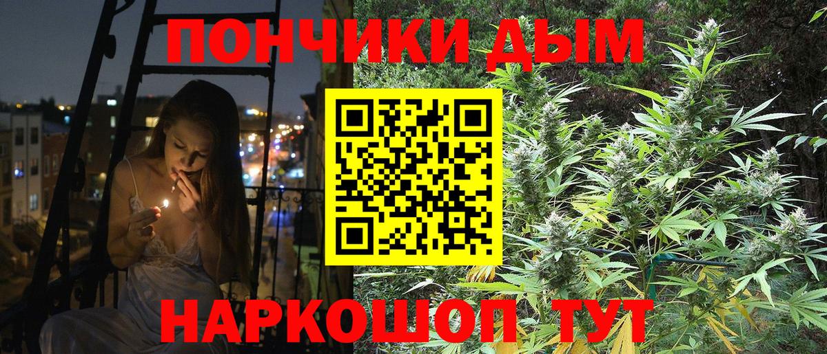 Марихуана SATIVA & INDICA  Шишки марихуана план  Вход с VPN  Шарыпово 